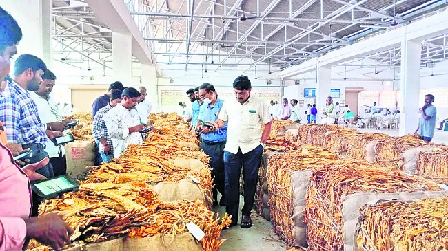 పొగాకుకు గిట్టుబాటు ధరలు లభించేలా చర్యలు 