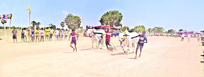 హోరాహోరీగా రాతిదూలం లాగుడు పోటీలు  