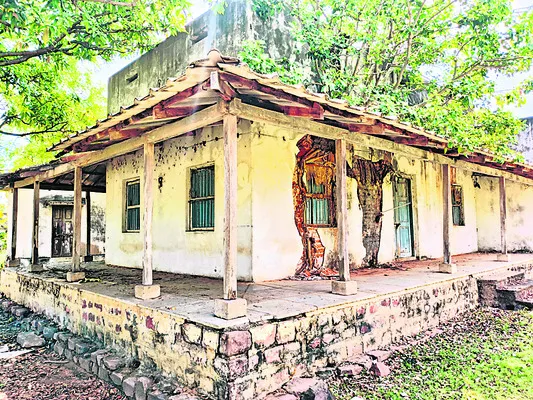 ‘పట్ట