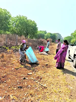 పనులు త్వరగా పూర్తిచేయాలి