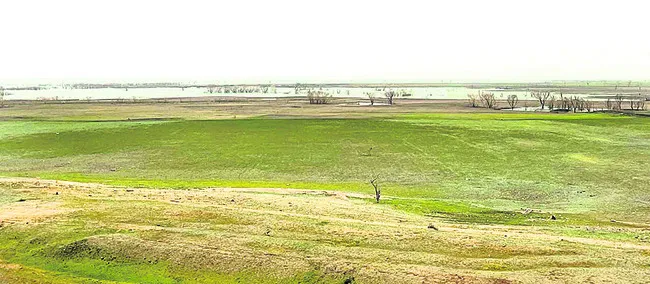 మిడ్‌మానేరు అడుగంటుతోంది..