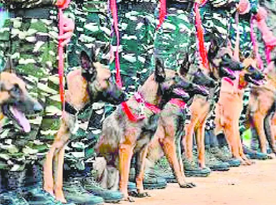 సైబర్ నేరగాళ్ల ‘డబుల్ టోకరా’!