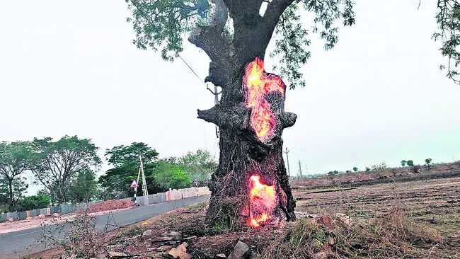 నిప్పుల్లో కాలుతూ.. చల్లని గాలినిస్తూ! 