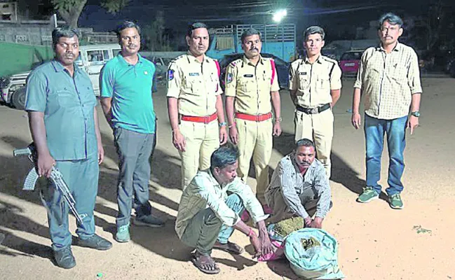 గుట్టుగా గంజాయి దందా..