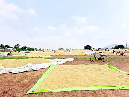 ఈదురుగాలులతో అపారనష్టం