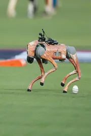 BCCI Sued After Naming IPL Robotic Dog Champak Delhi HC Issues Notice1