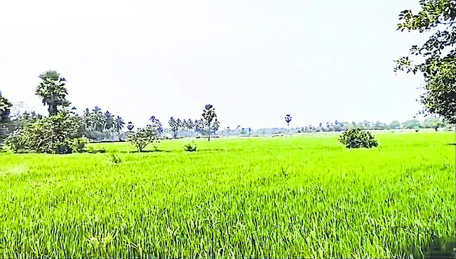 రాముల