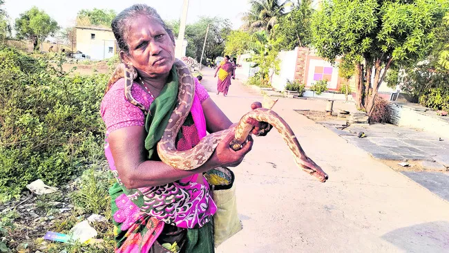 కూటి కోసం పాము చేత పట్టి