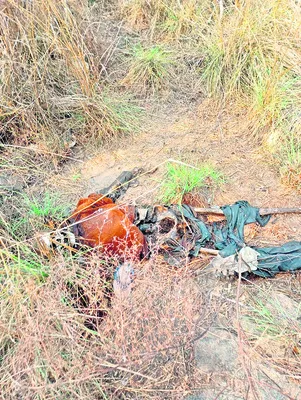 అడవిలో గుర్తు తెలియని వ్యక్తి మృతదేహం 