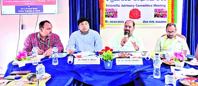 ఉలవపాడు మామిడికి గుర్తింపునకు ప్రణాళికలు