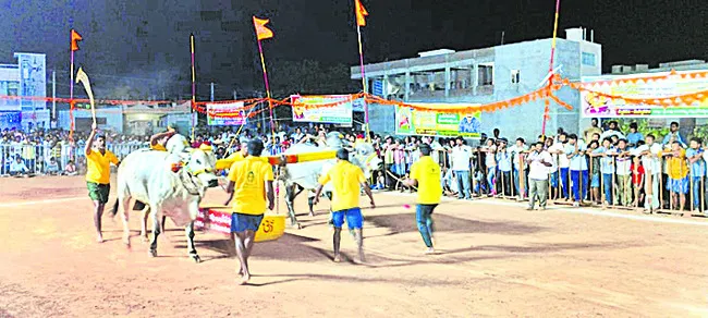 సేద్యం విభాగంలో హోరాహోరీ పోరు