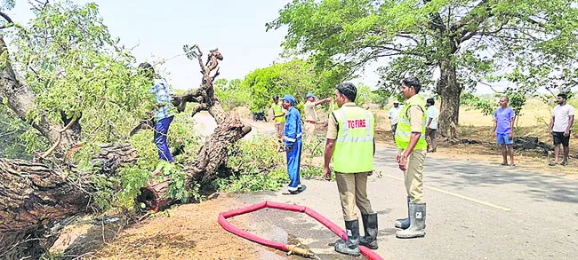 వేటగాడి నిప్పు.. చెట్టుకు ముప్పు