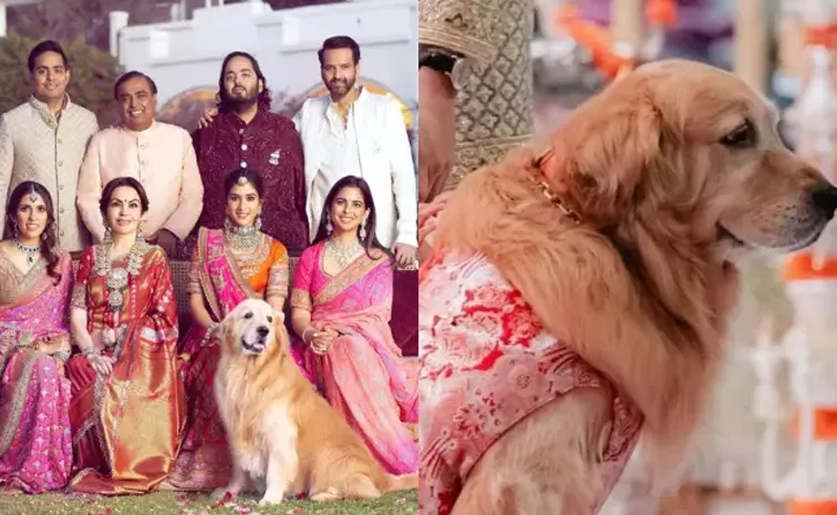 Anant Ambani pet dog Happy passes away family heartfelt tribute