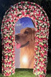 Anant Ambani pet dog Happy passes away family heartfelt tribute 1