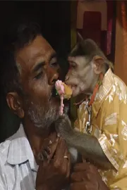 Monkey Hanumantha Gowda  Birthday celebrations in Haveri Karnataka 3