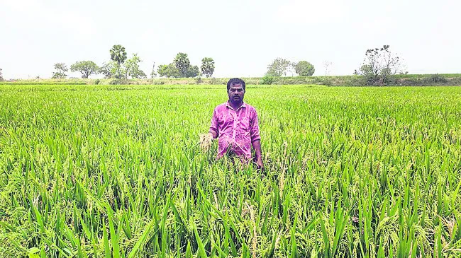 విత్త