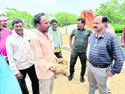 ధాన్య