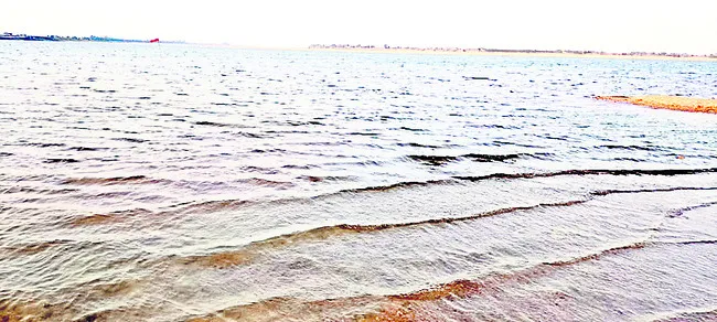 కాళేశ