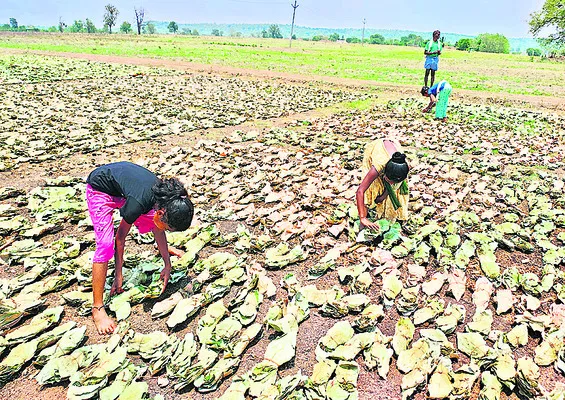 చిన్నారులతో మండుటెండల్లో పనులు