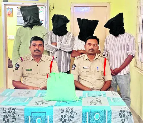నాడు మట్కా బీటర్లు.. నేడు గంజాయి విక్రేతలు
