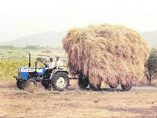 ఎండు గడ్డి ధరకు రెక్కలు