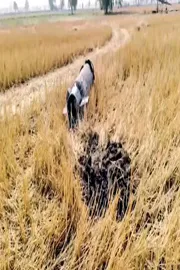 Debris resembling parts of missile found in Hoshiarpur in punjab2