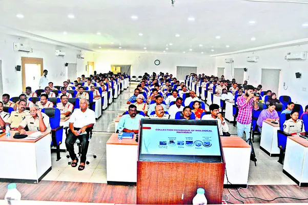 దర్యా