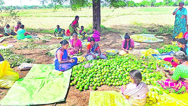 మహిళలకు ఉపాధి