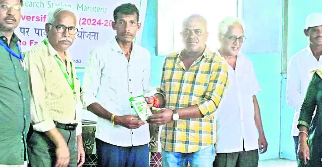 ఉద్యాన పంటల సాగుతో రైతులకు రెట్టింపు ఆదాయం 