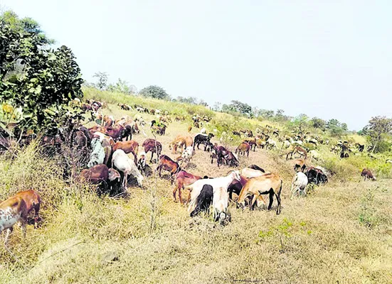 బహుదూ