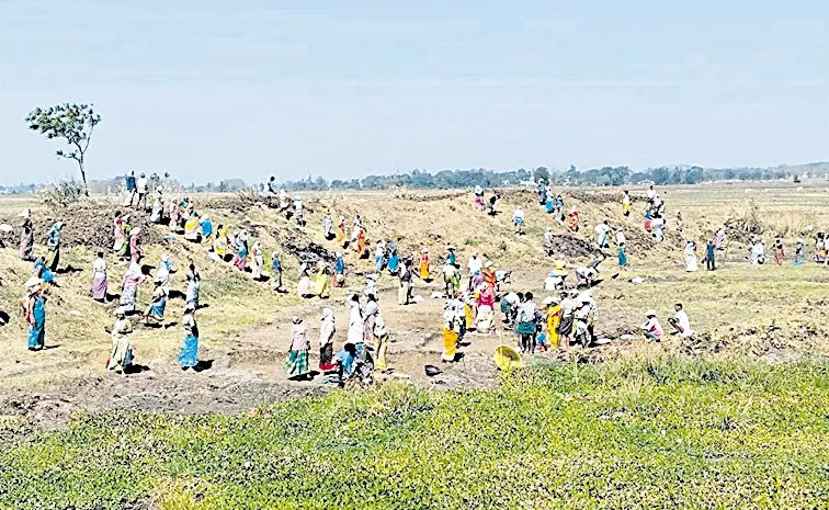 No salary for Employment Guarantee Scheme employees in Andhra Pradesh