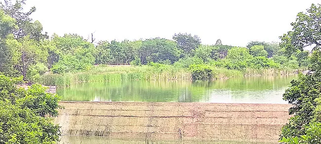 మండుట