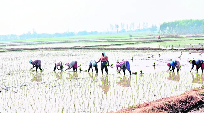 ‘భరోసా’ కోల్పోతున్నారు..