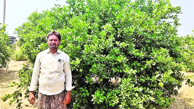 రైతుల కష్టం.. దొంగల పాలు!
