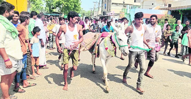 రసవత్తరంగా గార్ధభాల పోటీలు
