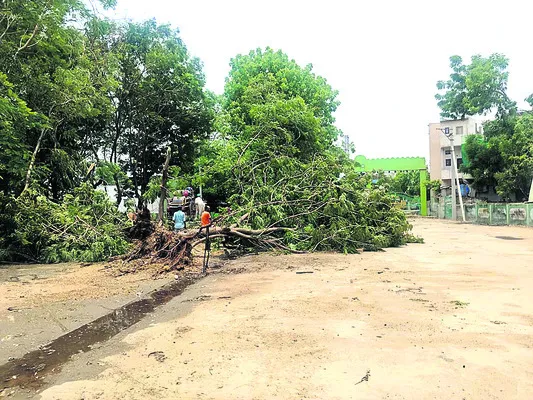 సోమవా