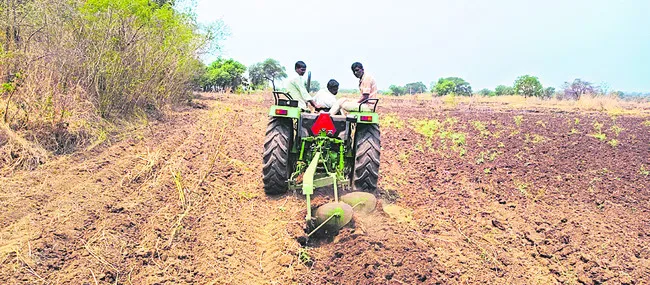 పత్తి