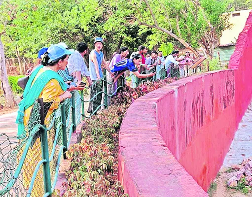 జూలో ‘సన్’డే సందడి