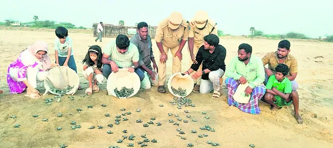 ప్రశా
