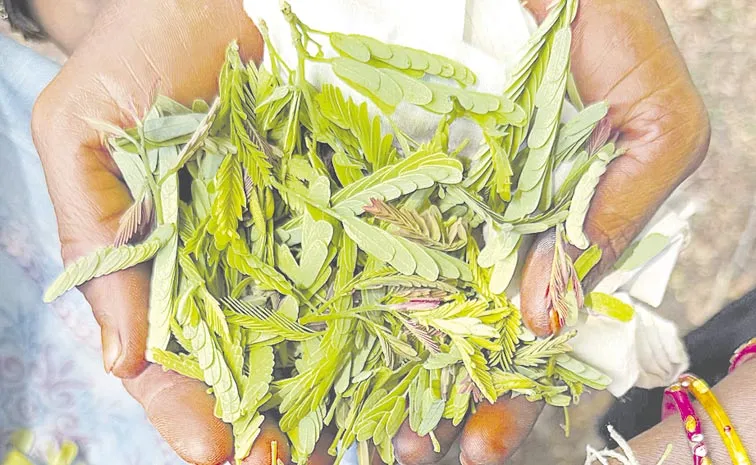 health benefits of tamarind leaves