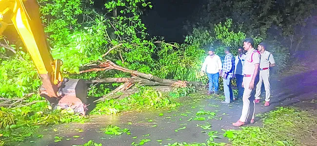 వృక్షాలు నేలకొరిగి.. తీగలు తెగిపడి
