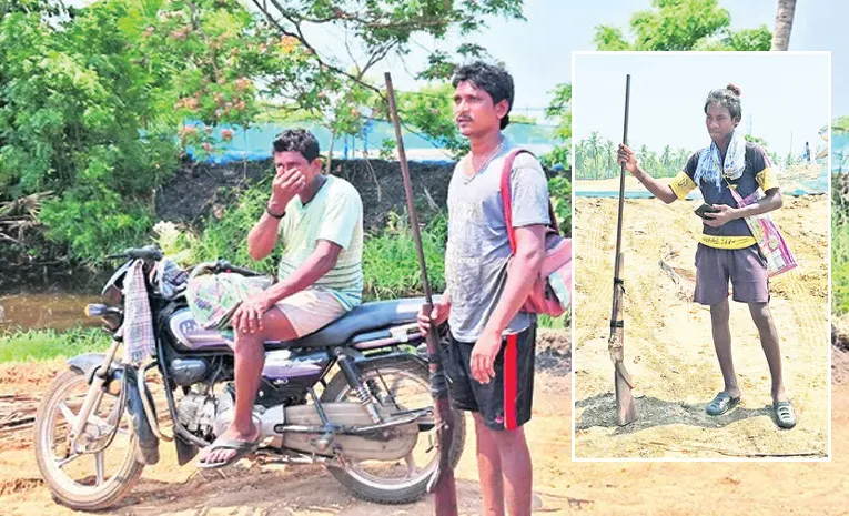 నాటు తుపాకులతో వేటగాళ్లు హల్‌చల్‌ 