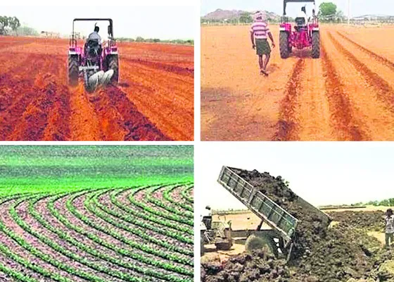 లోదుక