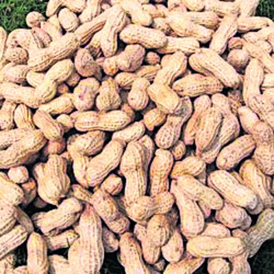 సబ్సిడీ తగ్గి.. ధర పెరిగి!