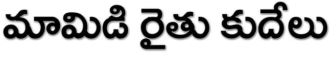 ● దళారులు, వ్యాపారుల ములాఖత్‌ 