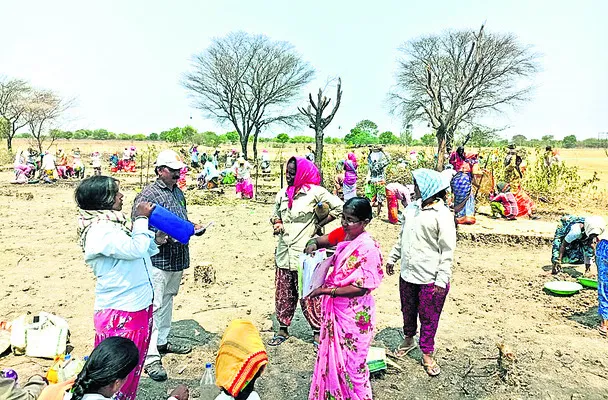 ఉపాధి