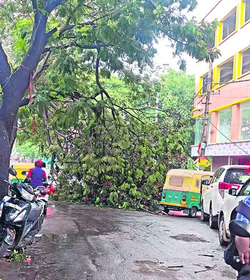 ఉవ్వెత్తున వర్షాలు