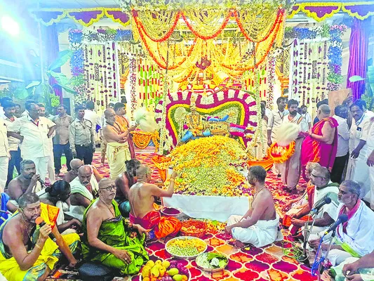 కనుల