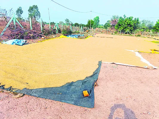 ప్రైవ
