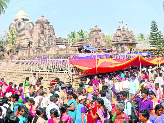 శ్రీముఖలింగం భూములకు సాగు వేలం ఖరారు